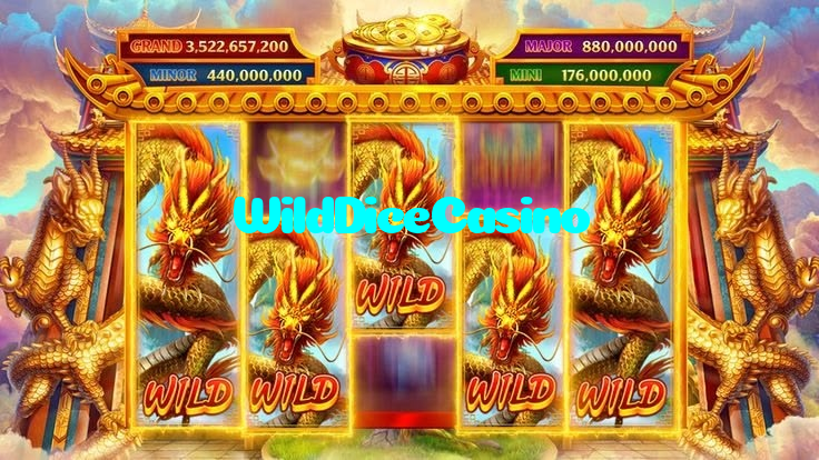 WildDiceCasino casino presented on mobile device in Pakistan with slots and live games